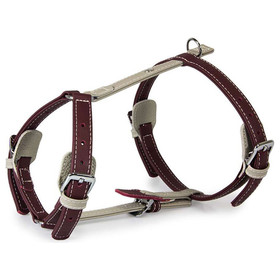 Abbildung Das Lederband Geschirr Amsterdam Merlot/Grey