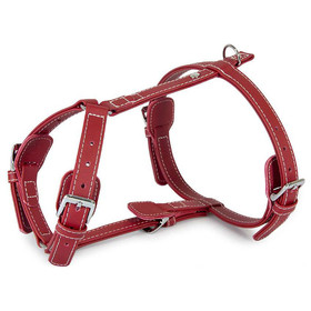 Abbildung Das Lederband Geschirr Barcelona Indian-Red