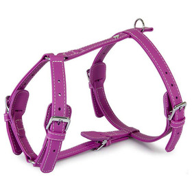 Abbildung Das Lederband Geschirr Barcelona Rose-Violet