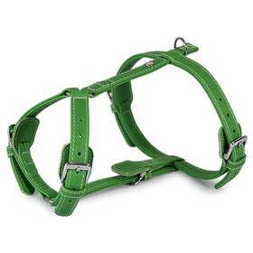 Abbildung Das Lederband Geschirr Barcelona Summer-Green