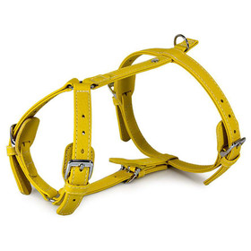 Abbildung Das Lederband Geschirr Barcelona Vibrant-Yellow