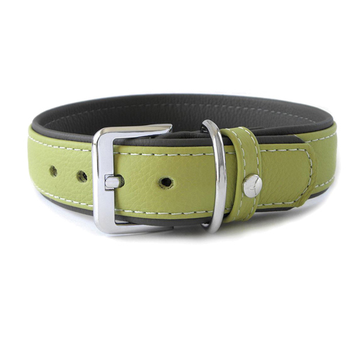 Das Lederband Hundehalsband Amsterdam lime/lava, Länge: 20 cm / Breite: 12 mm