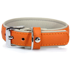 Collar para perros con correa de cuero Amsterdam naranja/gris