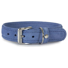 El collar para perros con correa de cuero Toronto Jeans