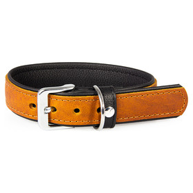 Collar para perros con correa de cuero Vancouver Granate/Negro