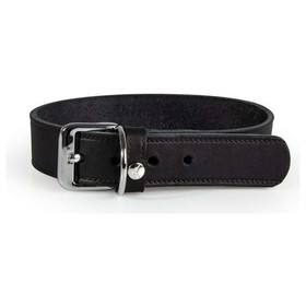 El collar para perros con correa de cuero Weinheim Negro