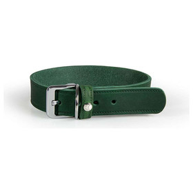 El collar para perros con correa de cuero Weinheim Hunting Green