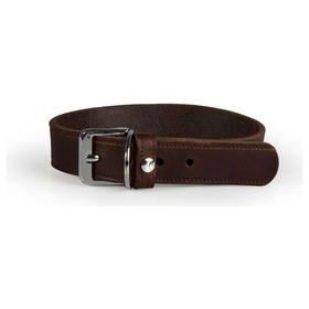 El collar para perros con correa de cuero Weinheim Mocha