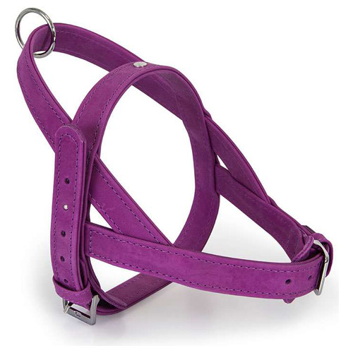 Das Lederband Norwegergeschirr Boston Violet, Brustumfang: 37-43 cm