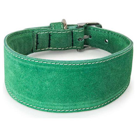 El collar de galgo con correa de cuero Toronto Leaf Green