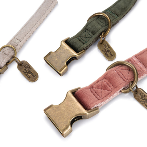 weitere Abbildung Designed by Lotte Hundehalsband Velura grau