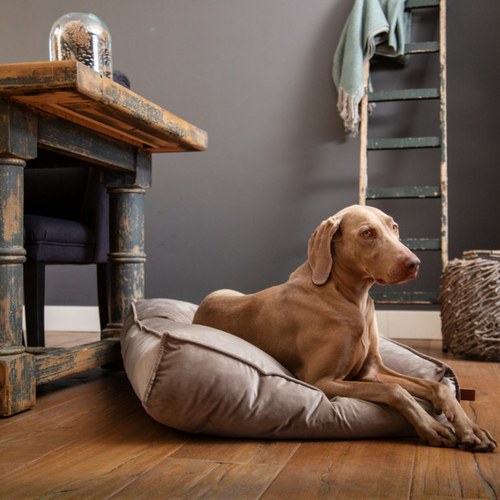 weitere Abbildung Designed by Lotte Hundekissen Nalino grau