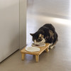 Designed by Lotte Katzennapf Dinnerset Djeha Abbildung 4