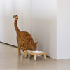 Designed by Lotte Katzennapf Dinnerset Djeha Abbildung 5