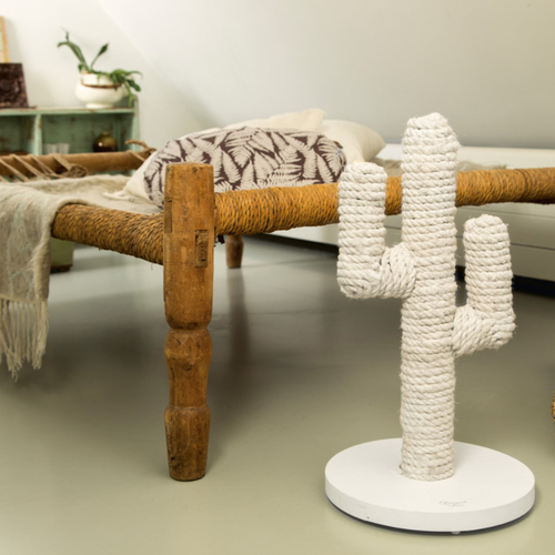 weitere Abbildung Designed by Lotte Kratzbaum Cactus wei