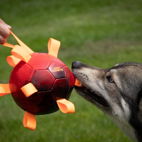 weitere Abbildung Dog Comets Hundespielzeug Hypernova orange