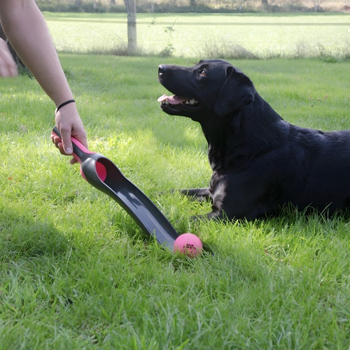 weitere Abbildung Dog Comets Hundespielzeug Star Launcher rosa