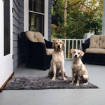 Dirty Dog Doormat Runner grau, Abbildung 14