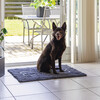 Dogs Gone Smart Dirty Dog Doormat grau Abbildung 4