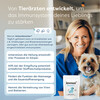 Dr. Sam Immun Booster 45 g für Hunde Abbildung 3