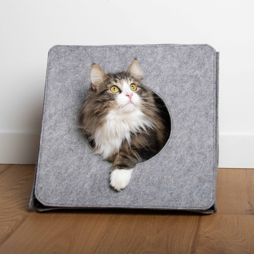 weitere Abbildung D&D Filzhuschen I Love Happy Cats Alan grau