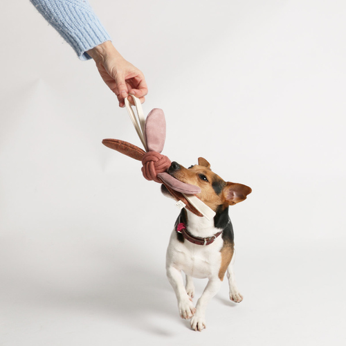 weitere Abbildung D&D Hundespielzeug Jule rosa