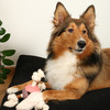 D&D Hundespielzeug Levi Rosewood rosa Abbildung 2