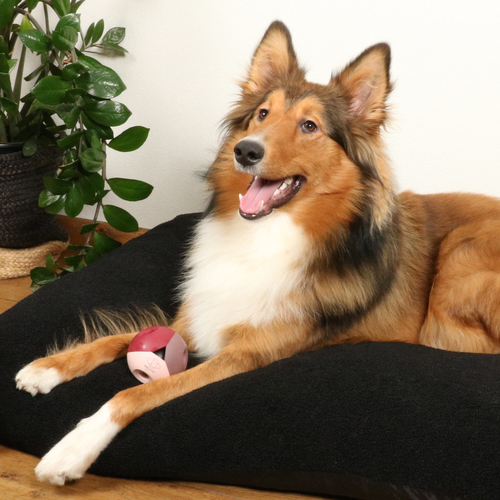 weitere Abbildung D&D Hundespielzeug Luca Rosewood rosa