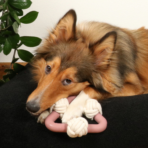 weitere Abbildung D&D Hundespielzeug Milou Rosewood rosa
