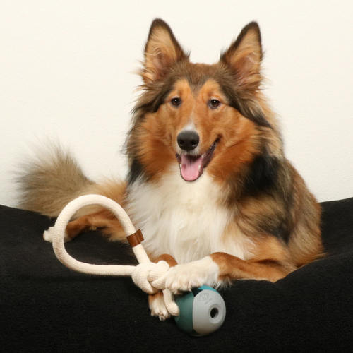 weitere Abbildung D&D Hundespielzeug Nora Lagoon blau