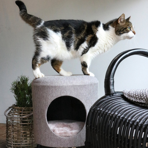 weitere Abbildung D&D Katzenhaus Louis taupe