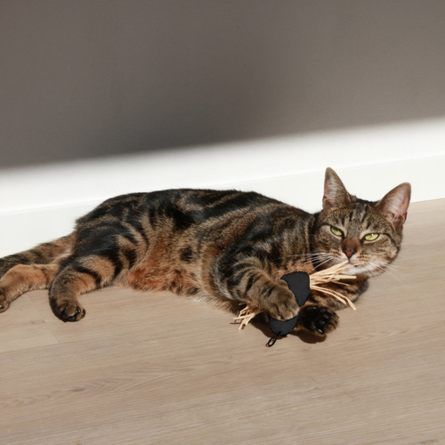 weitere Abbildung D&D Katzenspielzeug I Love Happy Cats Spinne 