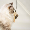 D&D Katzenspielzeug I Love Happy Cats Wollring "Mira“ wollweiß Abbildung 5