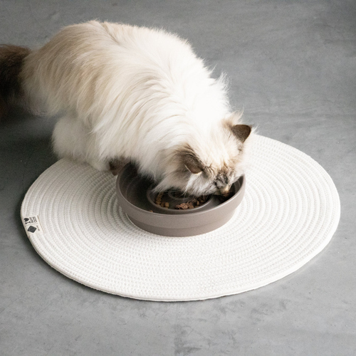 weitere Abbildung D&D Platzdeckchen I Love Happy Cats 