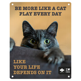 Abbildung D&D Schild I Love Happy Cats 