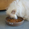 D&D Slowfeeder I Love Happy Cats „Sue“ Tropfen braun Abbildung 2