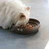 D&D Slowfeeder I Love Happy Cats „Sue“ Tropfen braun Abbildung 3