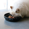 D&D Slowfeeder I Love Happy Cats „Sue“ Wellen schwarz Abbildung 2