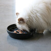 D&D Slowfeeder I Love Happy Cats „Sue“ Wellen schwarz Abbildung 3