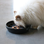 Slowfeeder I Love Happy Cats Sue Wellen schwarz, Abbildung 15