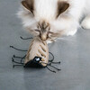 D&D Snackspielzeug I Love Happy Cats “Chuck“ beige Abbildung 4