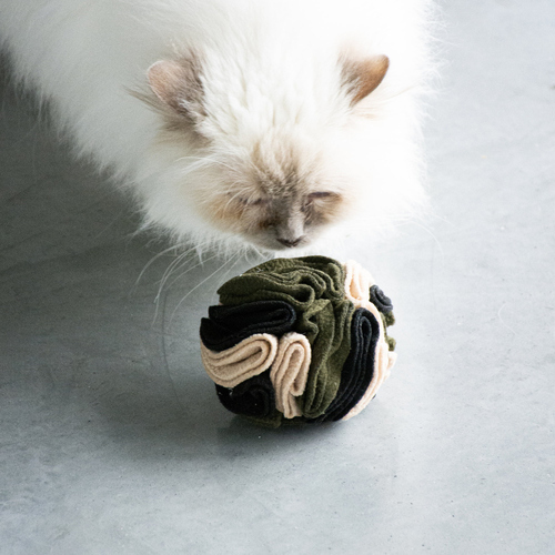 weitere Abbildung D&D Snackspielzeug I Love Happy Cats Simon