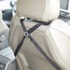Duvo+ 2-in-1 Autokorb Isofix schwarz Abbildung 4