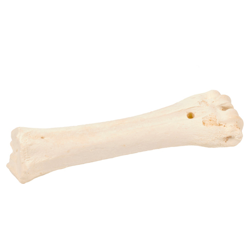 Duvo+ BONES! Rinderknochen Kalzium