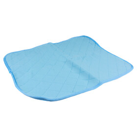 Abbildung Duvo+ ECO waschbares Training Pad blau