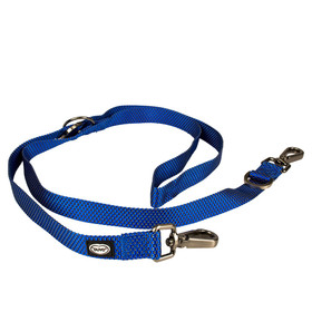 Abbildung Duvo+ East Duo Leine Nylon blau