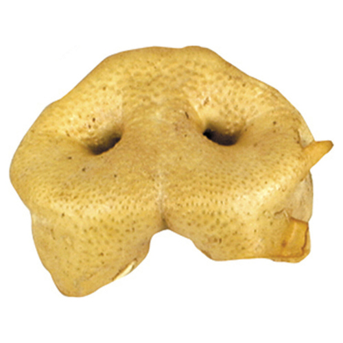 Duvo+ Farmz Schweinenase mit Honiggeschmack