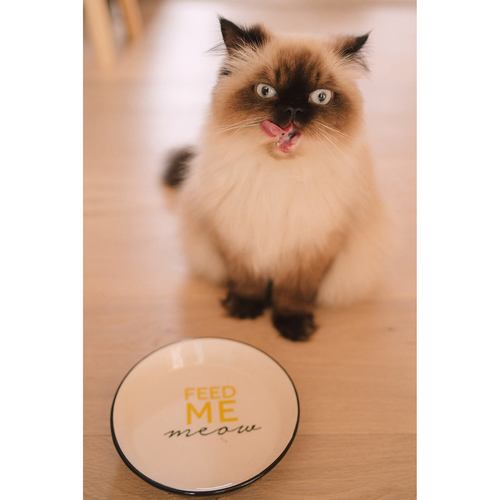 weitere Abbildung Duvo+ Futternapf Feed Me Meow, Stone