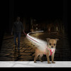 Duvo+ Geschirr mit Leine Flashlight rot Abbildung 3