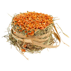 Abbildung Duvo+ Heu-Burger mit Karotten-Topping 75 g